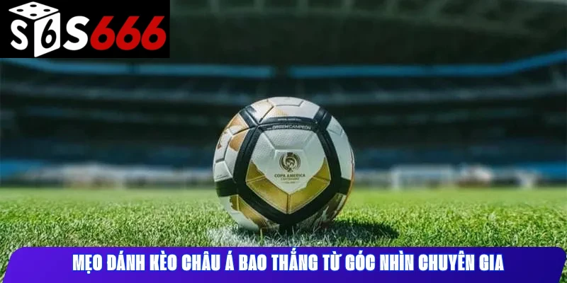 Mẹo đánh Kèo châu Á bao thắng từ góc nhìn chuyên gia